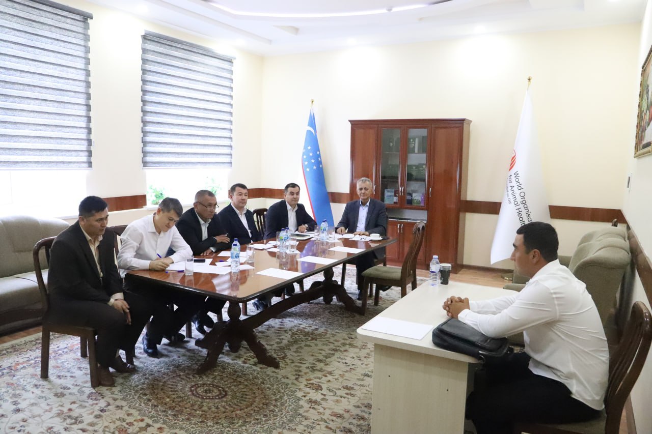 Qo‘shma ta’lim dasturi abituriyentlari 